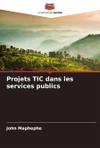 Projets TIC dans les services publics