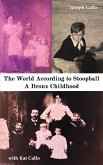 The World According to Stoopball