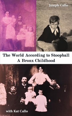 Cover The World According to Stoopball