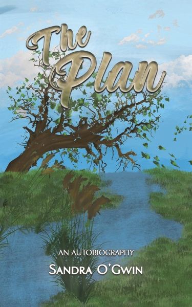 The Plan The Plan