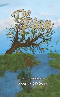 Cover The Plan