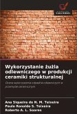 Wykorzystanie ¿u¿la odlewniczego w produkcji ceramiki strukturalnej Wykorzystanie ¿u¿la odlewniczego w produkcji ceramiki strukturalnej