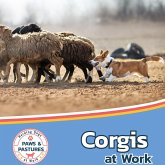 Corgis at Work