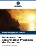 Rabelados: Das sozioreligiöse... - Bild 1