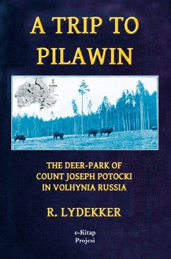 Cover A Trip to Pilawin
