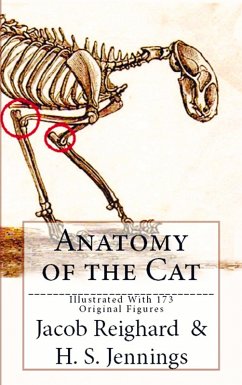 Cover Anatomy of the Cat