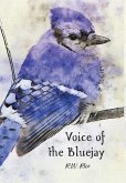 Voice of the Bluejay Voice of the Bluejay