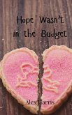 Hope Wasn't in the Budget