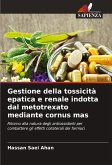 Gestione della tossicità epatica e renale indotta dal metotrexato mediante cornus mas