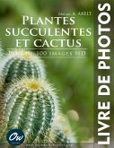 Plantes succulentes et cactus