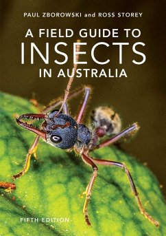A Field Guide to Insects of Australia - Storey, Ross; Zborowski, Paul