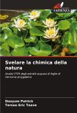 Svelare la chimica della natura Svelare la chimica della natura