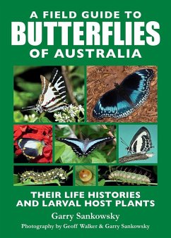 A Field Guide to Butterflies of Australia - Sankowsky, Garry; Walker, Geoff