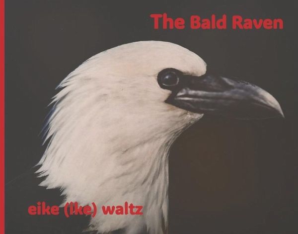The Bald Raven The Bald Raven