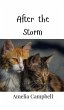 After the Storm - Bild 1