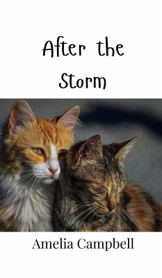 Cover After the Storm