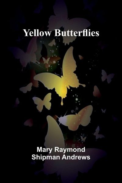 Yellow Butterflies Yellow Butterflies