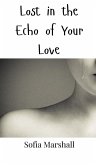 Lost in the Echo of Your Love Lost in the Echo of Your Love