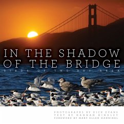 Cover In the Shadow of the Bridge