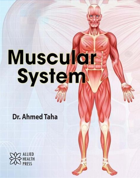 Muscular System Muscular System
