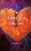 Echoes of a Lost Love