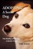 Adopting a Senior Dog