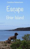 Escape to Brier Island