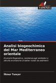 Analisi biogeochimica del Mar Mediterraneo orientale