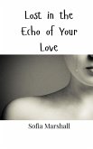 Lost in the Echo of Your Love Lost in the Echo of Your Love