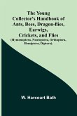 The Young Collector's Handbook of Ants, Bees, Dragon-flies, Earwigs, Crickets, and Flies (Hymenoptera, Neuroptera, Orthoptera, Hemiptera, Diptera).