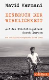 Einbruch der Wirklichkeit (eBook, PDF)