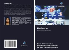 Cover Motivatie