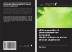 ¿Cómo percibe el citoesqueleto los estímulos abióticos/bióticos en las células vegetales? ¿Cómo percibe el citoesqueleto los estímulos abióticos/bióticos en las células vegetales?