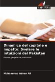 Dinamica del capitale e impatto: Svelare le intuizioni del Pakistan