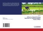 Effects of Seed Priming Methods on Morphological Traits of Rice