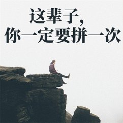 Cover 这辈子，你一定要拼一次 (MP3-Download)