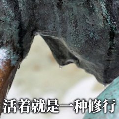 Cover 活着就是一种修行 (MP3-Download)