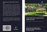 Crossculturele communicatie onder de knie Crossculturele communicatie onder de knie