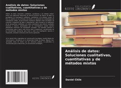 Análisis de datos: Soluciones cualitativas, cuantitativas y de métodos mixtos - Chile, Daniel