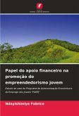 Papel do apoio financeiro na promoção do empreendedorismo jovem Papel do apoio financeiro na promoção do empreendedorismo jovem