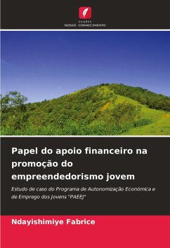 Papel do apoio financeiro na promoção do empreendedorismo jovem Cover Papel do apoio financeiro na promoção do empreendedorismo jovem