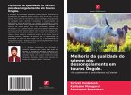 Melhoria da qualidade do sémen pós-descongelamento em touros Ongole.