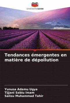 Cover Tendances émergentes en matière de dépollution