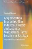 Agglomeration Economies, New Industrial Clusters and Japanese Multinational Firms’ Location in East Asia (eBook, PDF) Agglomeration Economies, New Industrial Clusters and Japanese Multinational Firms’ Location in East Asia (eBook, PDF)