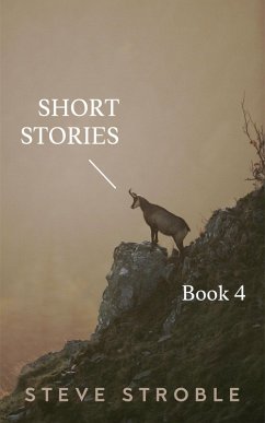 Short Stories Book 4 (eBook, ePUB) - Stroble, Steve