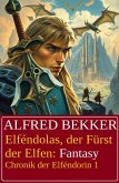 Elféndolas, der Fürst der Elfen: Fantasy: Chronik der Elféndorin 1 (eBook, ePUB)