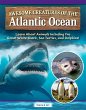 Awesome Creatures of the Atlantic Ocean... - Bild 1