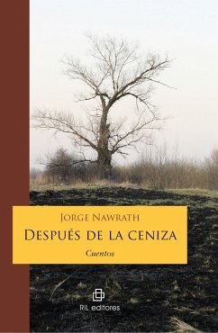 Cover Después de la ceniza. Cuentos (eBook, ePUB)