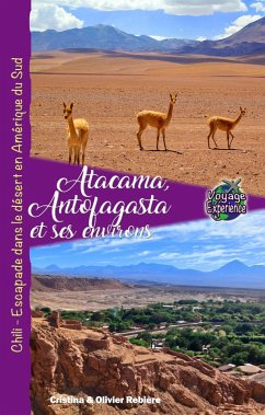 Cover Atacama, Antofagasta et les environs (eBook, ePUB)