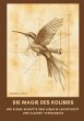 Die Magie des Kolibris - Bild 1